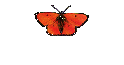 Mail Tobi