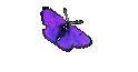 Mail Heidi